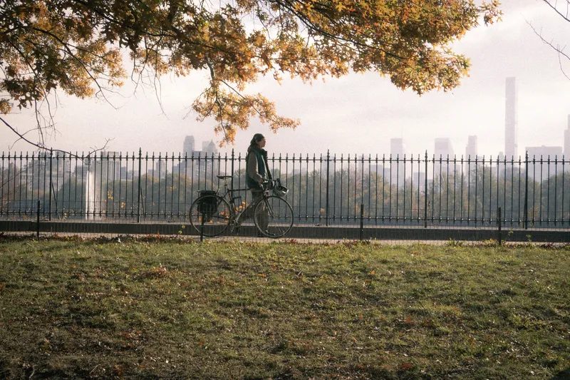 A bicycle resting in tall grass